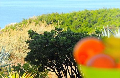 Vale de Centianes Apartment | Apartment With Sea Views, near Beach, Carvoeiro Algarve