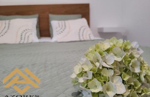 Praia da Vitoria Apartment | Azores village apartments