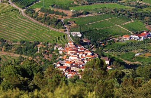 Sao Joao da Pesqueira House | BABhouse Casa do Avô Pedoucas - Coração do Douro
