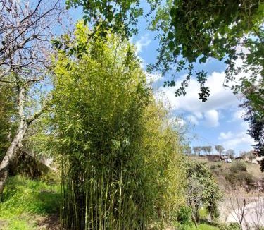 Lamego House | Bairral House