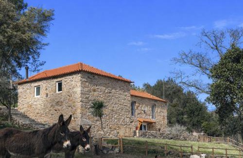 Britelo Cabin | Banduja Reserve - Slow by nature