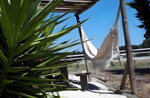 Zambujeira do Mar House | Bungalow '2' with Shared Pool and Shared Terrace