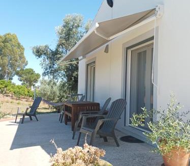 Serpa House | Burrico D`Orada - Rural Stays & Wine Country Tours