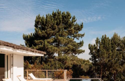 Carvalhal Villa | Campo de Arroz