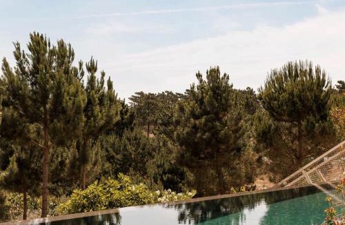 Carvalhal Villa | Campo de Arroz