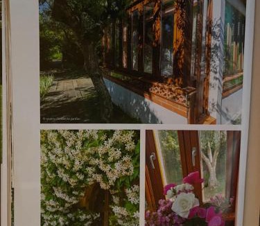 Pedrogao Grande House | Casa Aloes Cottage Garden Retreat Pedrogao Grande