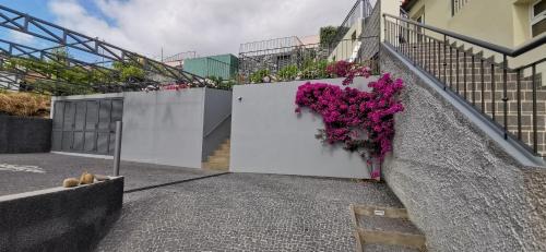 Ribeira Brava Apartment | Casa Atlantico Suite