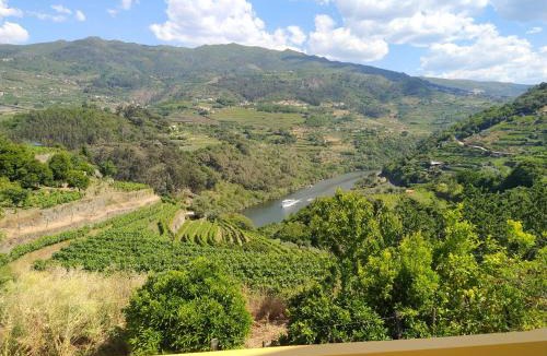 Mesao Frio House | Casa Avós D'Ouro - Barqueiros, Mesão Frio, Douro