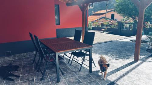 Sao Vicente House | Casa Azul shared home with hosts