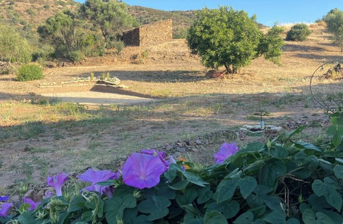 Fonte do Bispo House | Casa Colinas - Varied serenity