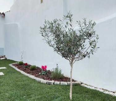 Azaruja House | Casa D'Avó Bá