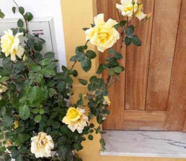 Miranda do Corvo Apartment | Casa d'Avó