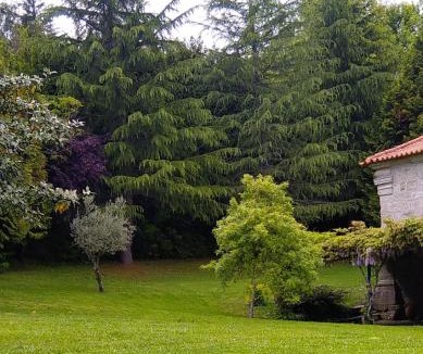 Molares House | Casa da Arosa