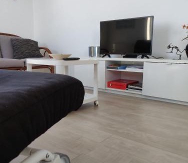 Sao Jacinto Apartment | Casa da Ilha dos Ovos