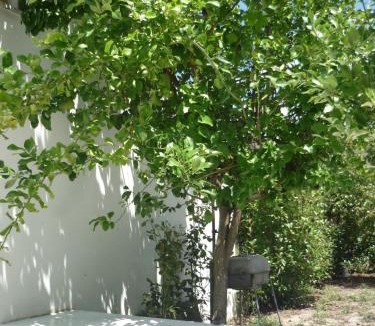 Gois House | Casa da Terra