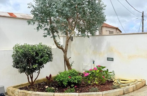 Juncal House | Casa da Tia Banã, Fonte Velha, Juncal