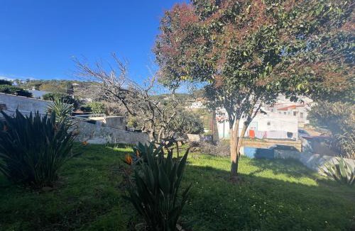 Barao de Sao Joao House | Casa das Rosas de Barão