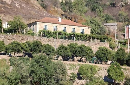 Oliveira do Douro House | Casa de Rebolfe (Cinfães - Douro)
