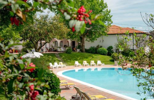 Baiao House | Casa do Almocreve