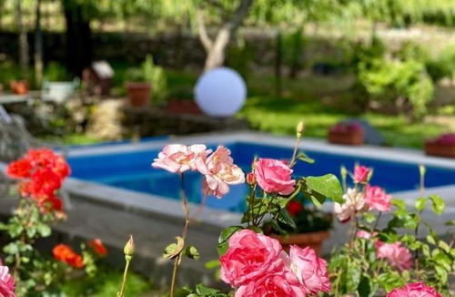 Carrazeda de Ansiaes House | Casa do Beco B&B Douro - Guest House