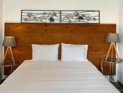 Madalena Apartment | Casa do Cacto - 1 Bedroom Flat