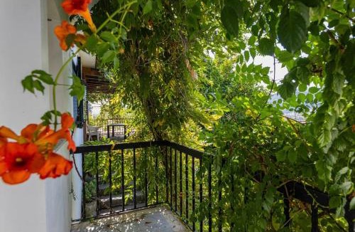 Peso da Regua House | Casa Dona Aninhas - Douro