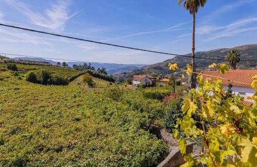 Peso da Regua House | Casa Dona Aninhas - Douro