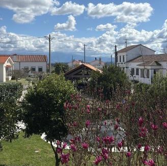 Canas de Senhorim House | Casa dos avós
