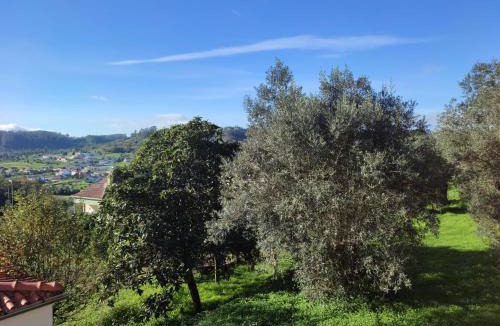 Ourem House | Casa dos Fetos Varanda Panorâmica & Natureza