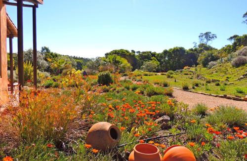 Barao de Sao Joao Apartment | Casa dos Sonhos, private terrace, quiet location, walking to village, ecological pool, pets considered, nature friendly