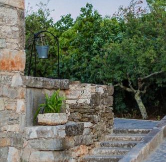 Fatima House | Casa dos Tios