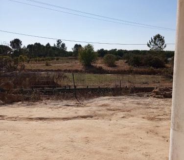 Coruche House | Casa Ladino no Campo
