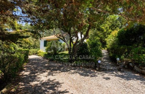 Mafra House | Casa Lantana by ACasaDasCasas