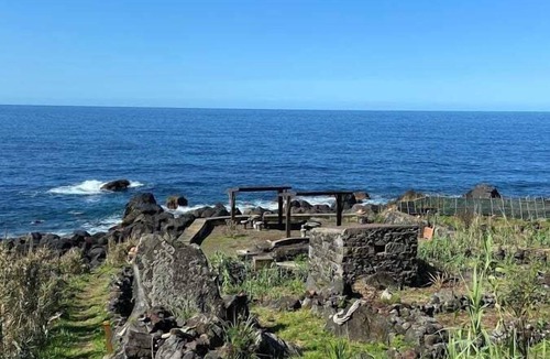 Relva Apartment | Casa Memorial Miguel Faial - Relaxing Patio