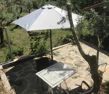 Gois House | Casa Oliveiras - Casas do Sinhel