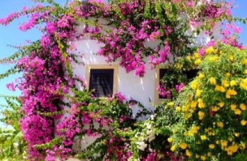 Sesmarias House | Casa Portuguesa