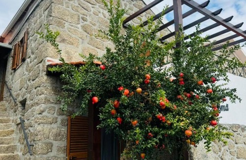 Celorico da Beira House | Casa Romã