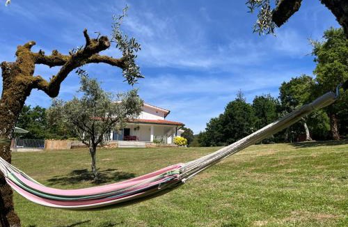 Arganil Apartment | Casa Toupeira