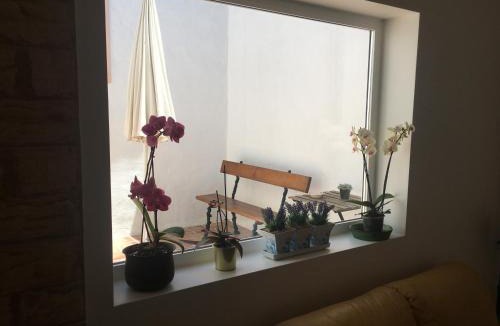 Alvito House | Casas da Baronia