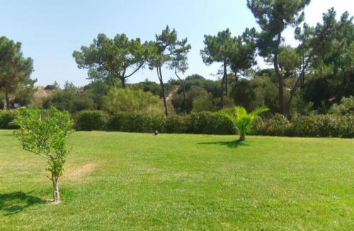 Carvalhal Apartment | Casas Da Duna