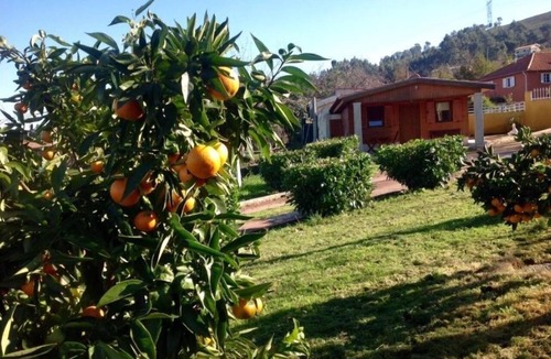 Portela House | Casinhas do Ribeiro - One Bedroom House