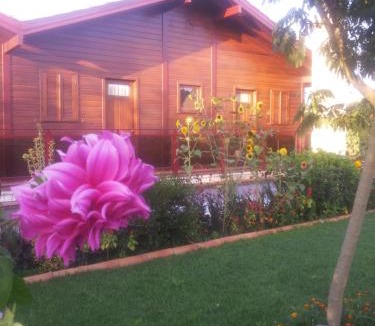 Ourem Apartment | Chalet Georges