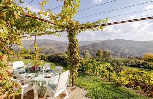 Baiao House | Charming Vineyard Retreat - Casa de Sequeiros