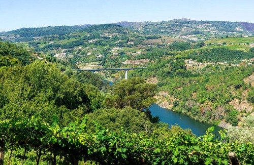 Resende House | Cherry Douro Hill