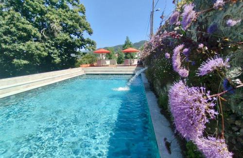 Monserrate Villa | Collares Sintra Petit Palais