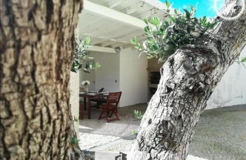 Vieira do Minho House | Cortegaça House