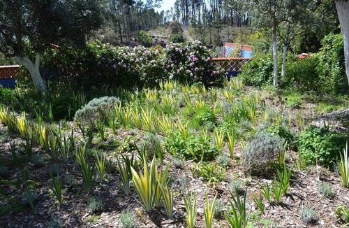 Pedrogao Grande Cottage | Cottage - Sleeps 6 - Parking - Garden