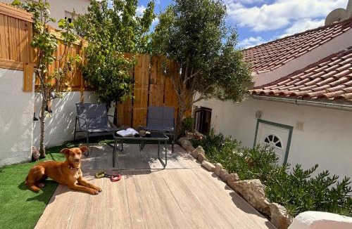 Lourinha House | Cozy home & garden for people & dogs