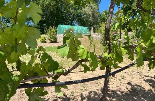 Castelo de Paiva House | CRASTO PAYVA DOURO NATURE