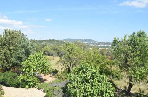 Loule House | Delightful, authentic Quinta with pool